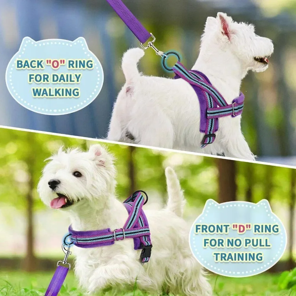 No Pull Small Dog Harness and Leash Set,  Purple Sz M